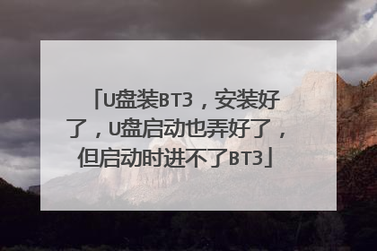 U盘装BT3,安装好了,U盘启动也弄好了,但启动时进不了BT3