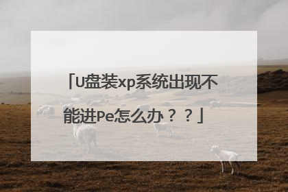 U盘装xp系统出现不能进Pe怎么办??