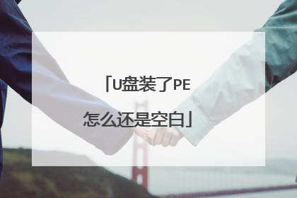 U盘装了PE怎么还是空白