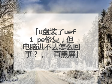 U盘装了uefi pe修复，但电脑进不去怎么回事？，一直黑屏