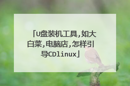 U盘装机工具,如大白菜,电脑店,怎样引导CDlinux