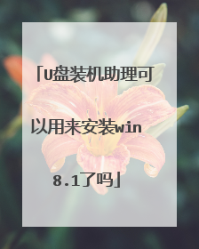 U盘装机助理可以用来安装win8.1了吗