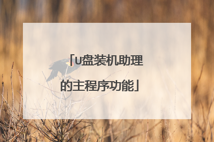 U盘装机助理的主程序功能