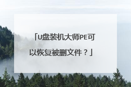 U盘装机大师PE可以恢复被删文件?