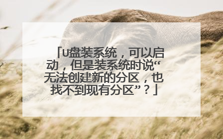 U盘装系统,可以启动,但是装系统时说“无法创建新的分区,也找不到现有分区”?