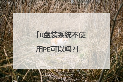U盘装系统不使用PE可以吗?