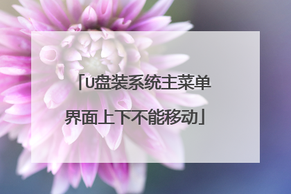 U盘装系统主菜单界面上下不能移动