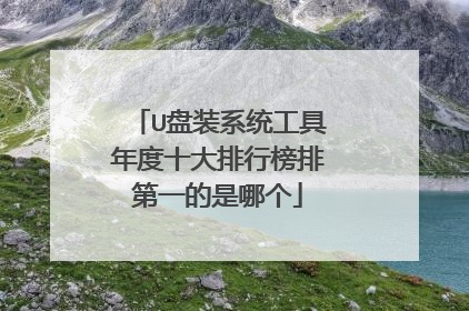 U盘装系统工具年度十大排行榜排第一的是哪个