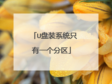 U盘装系统只有一个分区