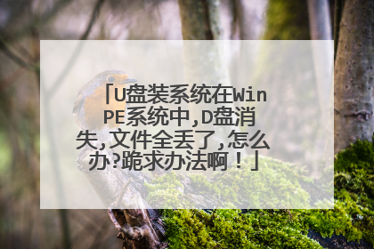 U盘装系统在Win PE系统中,D盘消失,文件全丢了,怎么办?跪求办法啊！