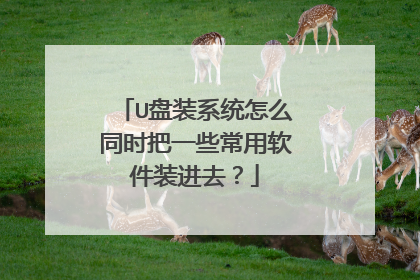 U盘装系统怎么同时把一些常用软件装进去？