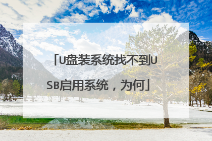U盘装系统找不到USB启用系统,为何