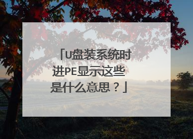 U盘装系统时进PE显示这些是什么意思？