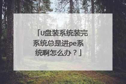U盘装系统装完系统总是进pe系统啊怎么办？