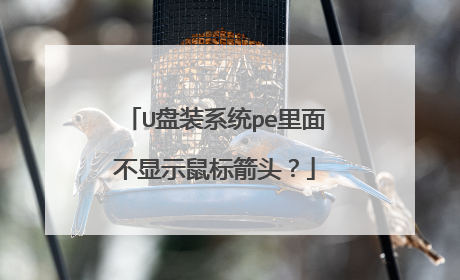 U盘装系统pe里面不显示鼠标箭头？