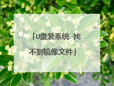 U盘装系统 找不到镜像文件