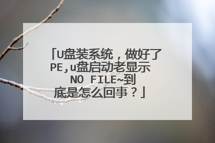 U盘装系统，做好了PE,u盘启动老显示 NO FILE~到底是怎么回事？