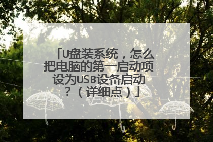 U盘装系统,怎么把电脑的第一启动项设为USB设备启动?(详细点)