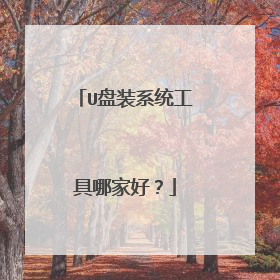 U盘装系统工具哪家好?
