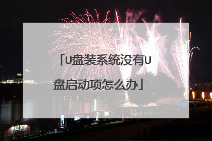 U盘装系统没有U盘启动项怎么办