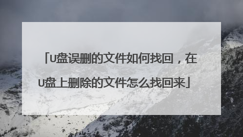 U盘误删的文件如何找回，在U盘上删除的文件怎么找回来