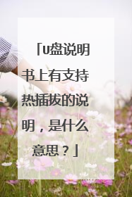 U盘说明书上有支持热插拔的说明,是什么意思?