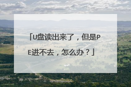 U盘读出来了，但是PE进不去，怎么办？