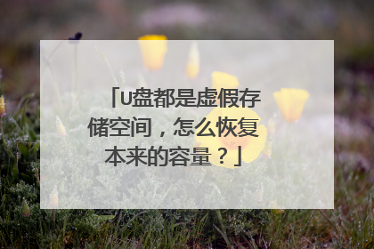 U盘都是虚假存储空间,怎么恢复本来的容量?