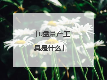 U盘量产工具是什么