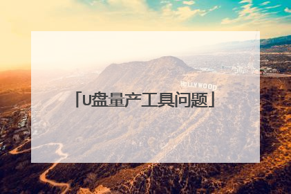 U盘量产工具问题