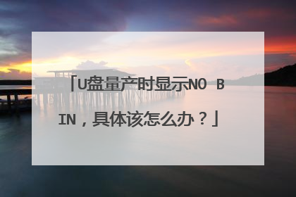 U盘量产时显示NO BIN,具体该怎么办?