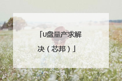 U盘量产求解决(芯邦)