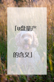 U盘量产的含义