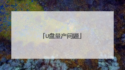 U盘量产问题
