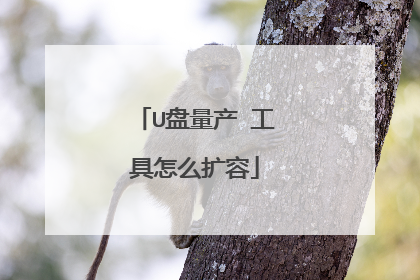 U盘量产 工具怎么扩容
