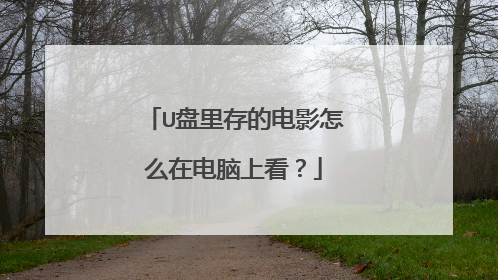 U盘里存的电影怎么在电脑上看?