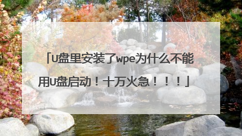 U盘里安装了wpe为什么不能用U盘启动！十万火急！！！