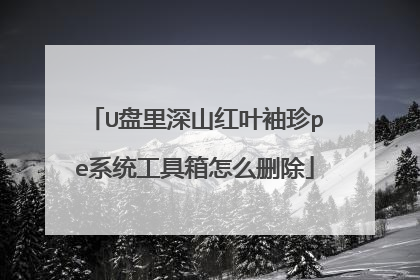 U盘里深山红叶袖珍pe系统工具箱怎么删除