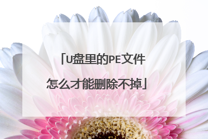 U盘里的PE文件怎么才能删除不掉