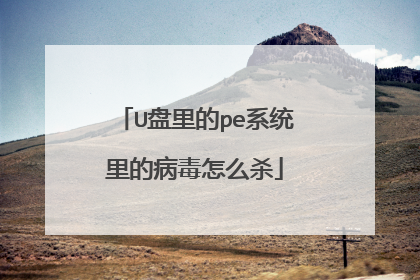 U盘里的pe系统里的病毒怎么杀