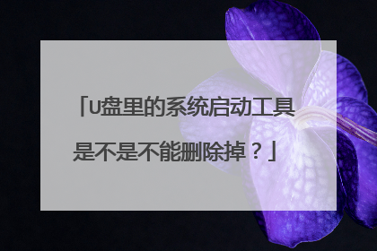 U盘里的系统启动工具是不是不能删除掉?