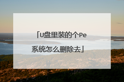 U盘里装的个Pe系统怎么删除去