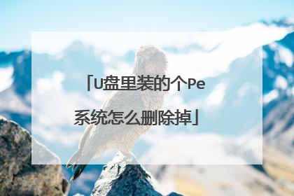 U盘里装的个Pe系统怎么删除掉
