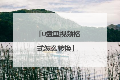 U盘里视频格式怎么转换