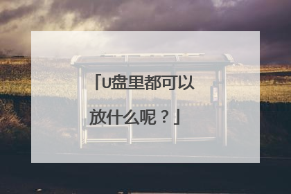 U盘里都可以放什么呢?