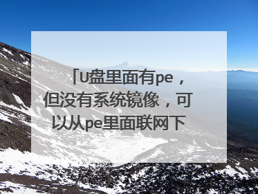 U盘里面有pe,但没有系统镜像,可以从pe里面联网下载系统镜像吗?
