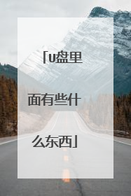 U盘里面有些什么东西
