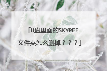 U盘里面的SKYPEE文件夹怎么删掉？？？