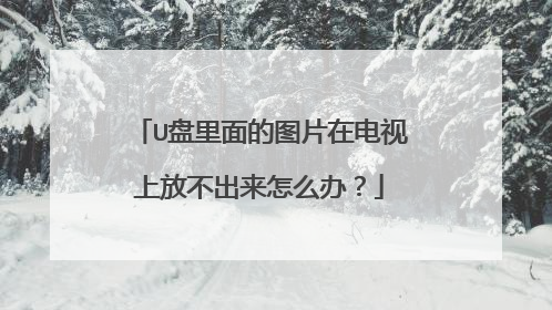 U盘里面的图片在电视上放不出来怎么办?