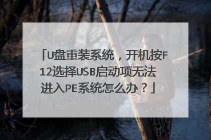 U盘重装系统,开机按F12选择USB启动项无法进入PE系统怎么办?